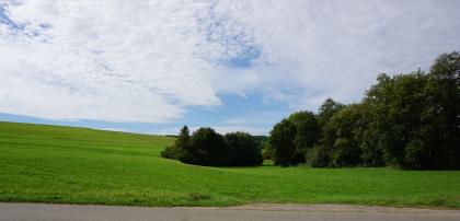 Blick auf einen länglichen grünen Hügel, der nach rechts hin zu einer flachen Wanne mit Baumbestand ausläuft.