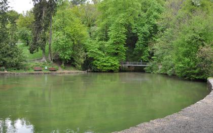 Auf dem Bild sieht man eine grüne Wasserfläche, die im Vordergrund ein in Stein gefasstes Ufer, am gegenüberliegenden Ende ein natürliches Ufer mit Böschung und Waldbestand hat. Eine kleine Brücke im Hintergrund verbindet beide Ufer.