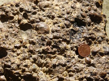 In hellbraunes Gestein sind rundliche Vertiefungen sowie knollige, an Haselnüsse erinnernde Gesteinsstücke eingedrückt. Eine rechts aufgelegte Centmünze dient als Größenvergleich.