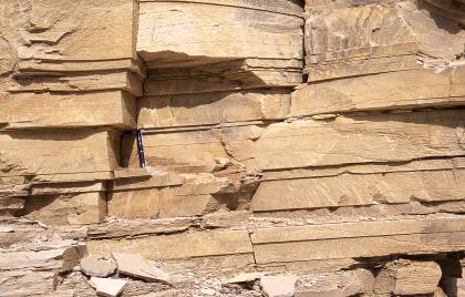 Teilansicht einer Steinbruchwand; das gelbliche, plattige Gestein ist waagrecht gebankt. Ein zwischen den Lagen aufgestellter Kugelschreiber dient als Größenvergleich.