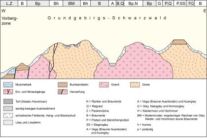 Farbig ausgeführte Schnittzeichnung des Grundgebirgs-Schwarzwalds, Ausrichtung Westen (links) bis Osten (rechts). Vorherrschende Gesteinsformen sind Granit und Gneis, daneben kommen auch Muschelkalk und Buntsandstein vor.