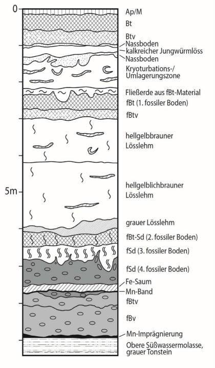 Schwarzweiß-Zeichnung eines Säulenprofils. Abgebildet sind Löss- und Lösslehmschichten sowie Deckenschotter in der Ziegeleigrube bei Hüttisheim-Humlangen.