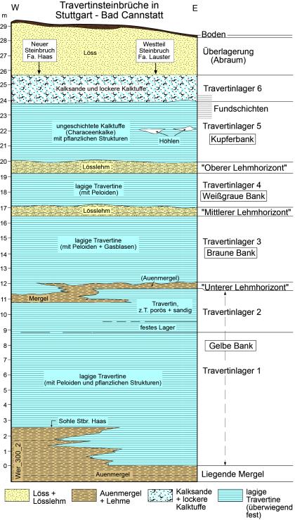 Farbige Grafik, das die Travertinlagerstätten zweier benachbarter Steinbrüche mittels Säulenprofil aufzeigt. Über dem Travertin liegen Löss und Kalktuffe.