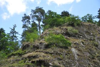 Nach rechts hin erhebt sich ein schmaler, länglicher Berghang mit treppenartig hervorstehendem, überwachsenem Gestein. Neben Gebüsch im Vordergrund sind hinter dem Bergrücken auch hohe Nadelbäume zu sehen.