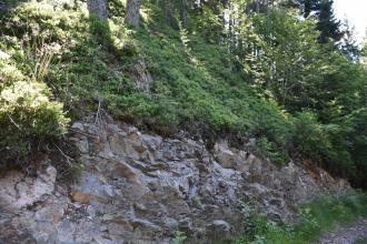 Blick auf einen steilen, nach rechts abfallenden Waldhang. Am Fuß des Hanges liegt ein Streifen von grauem, kantigem Gestein frei.