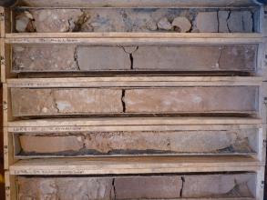 Blick von oben auf fünf längliche Holzkästen, in denen bräunlich graues Gesteinsmaterial ausgestellt ist. Das Gestein stammt aus einer Forschungsbohrung bei Herbolzheim.
