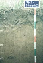Blick auf ein Musterprofil des LGRB unter Acker. Die sichtbare Profilwand ist graubraun bis braun, in vier Bodenhorizonte eingeteilt und 80 Zentimeter tief. Rechts oben gibt eine Tafel Nummer und Name des Profils an.