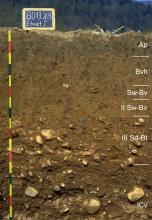 Blick auf ein Musterprofil des LGRB unter Acker. Die sichtbare Profilwand ist dunkelbraun, in sechs Bodenhorizonte unterteilt und 150 Zentimeter tief. Im unteren Teil sind Gesteinsstücke im Boden.