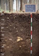 Das Foto zeigt ein Bodenprofil unter Wald. Es handelt sich um ein Musterprofil des LGRB. Das sechs Horizonte umfassende Profil ist über 1 m tief.