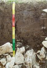 Das Foto zeigt ein Bodenprofil unter Wald. Es handelt sich um ein Musterprofil des LGRB. Das drei Horizonte umfassende, unten steinige Profil ist etwa 50 cm tief.