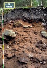 Blick auf ein oben schwärzliches, unten rotbraunes Bodenprofil unter Wald. Eine Kreidetafel links weist das Profil als Musterprofil des LGRB aus. Das in acht Horizonte unterteilte, Steine führende Profil ist 150 cm tief.