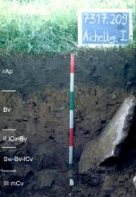 Das Foto zeigt ein Bodenprofil unter Grünland. Es handelt sich um ein Musterprofil des LGRB. Links am Rand sind fünf Bodenhorizonte eingezeichnet. Rechts zeigt eine Tafel Nummer und Name, ein Maßband die Tiefe des schwarzbraunen Profils an.