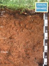 Blick auf ein rötlich braunes Bodenprofil des LGRB. Unter einer Decke aus Grünland ist das Profil etwa 80 cm tief.