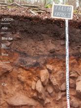 Das Bild zeigt ein aufgegrabenes Bodenprofil unter Wald. Das Profil ist durch eine beschriftete Kreidetafel als Musterprofil des LGRB ausgewiesen. Das in sechs Horizonte gegliederte, braune und rötliche, unten steinige Profil ist 1,10 m tief.