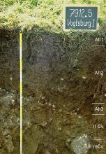 Blick auf ein Musterprofil des LGRB unter Grünland. Die schwarzgraue bis schwarzbraune, unten Gestein führende Profilwand ist in fünf Horizonte gegliedert und 1 Meter tief. Rechts oben nennt eine Tafel Nummer und Name des Profils.
