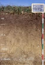 Das Foto zeigt ein Bodenprofil unter Acker. Es handelt sich um ein Musterprofil des LGRB. Das in vier Horizonte gegliederte Profil ist 1 m tief.