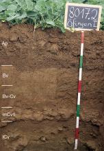 Das Foto zeigt ein Bodenprofil unter Acker. Es handelt sich um ein Musterprofil des LGRB. Das fünf Horizonte umfassende Profil ist 1 m tief.