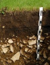 Das Foto zeigt ein Bodenprofil unter Grünland. Das in der unteren Hälfte steinige Profil ist 1,10 m tief.