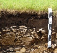 Das Foto zeigt ein Bodenprofil unter Grünland. Das ab 30 cm steinige Profil ist etwa 70 cm tief aufgegraben.