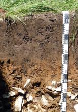 Das Foto zeigt ein Bodenprofil unter Grünland. Das in der unteren Hälfte rötlich braune Profil ist 1 m tief.