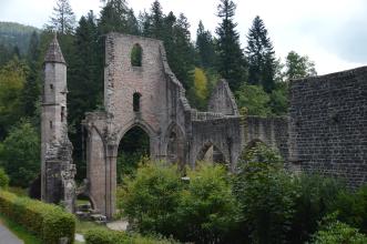 Das Bild zeigt die Ruinen einer ehemaligen Klosterkirche. Erhalten sind links ein schlanker Turm, daneben eine Wand mit torhähnlichem Durchgang sowie nach rechts führende, abgewinkelte Seitenwände. Hinter und zwischen den grauen Mauern wachsen Bäume.