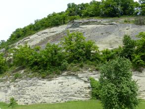 Blick auf eine steile, graugelb gefärbte Felswand, die in mittlerer Höhe von Bäumen bewachsen ist. Auf der Kuppe der Felswand stehen ebenfalls Bäume.