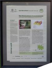 Das Bild zeigt den Inhalt einer bebilderten Schautafel mit dem Thema „Heidelberger Schlossgraben – Jahrmillionen alte Landoberfläche aus der Permzeit“. 