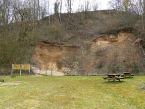 Blick auf eine hohe bewaldete Böschung mit teils freigelegtem Gesteins- und Bodenmaterial. Die Gesteinswand ist mit einem Zaun gesichert und von zwei Schautafeln ergänzt. Im Vordergrund eine abgetretene Wiese mit Rastplätzen.