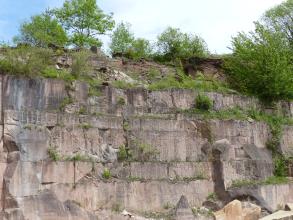 Blick auf eine hohe Steinbruchwand mit dickbankigen, rötlich grauen Quadern. Über der obersten Reihe verläuft eine mit Bäumen und Sträuchern bewachsene Böschung.