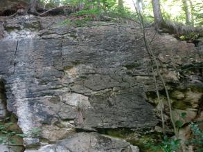 Nahaufnahme einer grauen bis bläulich grauen Felswand mit Rissen und Sprüngen. Am oberen Rand sind Baumwurzeln zu erkennen.