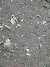 Nahaufnahme von dunkelgrauem Gestein, in das hellere Steinbrocken unterschiedlicher Größe kreisförmig eingelagert sind. Links sind die Brocken dabei deutlich größer als rechts.