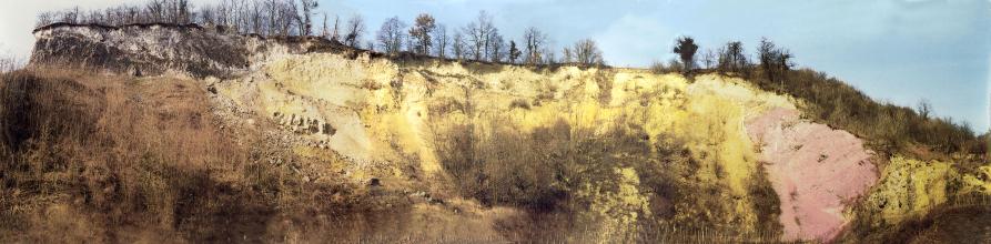 Panoramabild einer länglichen, rechts abfallenden Steinbruchwand. Die Farbe des Gesteins wechselt von grau und braun im linken Teil zu gelb in der Mitte sowie einem rötlichen Fleck im rechten Teil. Kuppe und Fuß sind bewachsen.