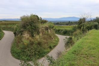 Blick auf eine inselartige, stark bewachsene Erhebung aus Lössmaterial, von der Kuppe einer höher gelegenen Grasfläche am rechten Bildrand aus gesehen. Um die Lössinsel herum windet sich ein gut gangbarer Weg.