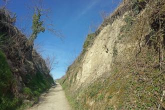 Blick auf das Ende eines Hohlweges, der zwischen links und rechts hoch aufragenden Wänden verläuft. Während der Hang links stark zugewachsen ist, zeigen sich rechts helle Stellen von Lössmaterial.
