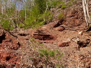 Das Bild zeigt rötlich braune Gesteinsreste an einem nach hinten und rechts hin ansteigenden, dicht bewachsenen Waldhang.