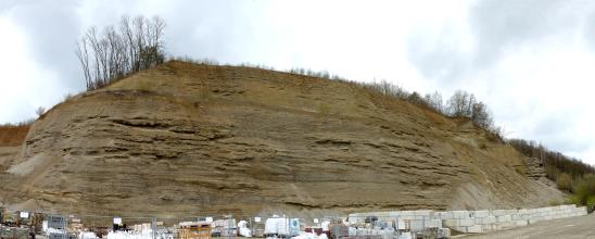 Das Foto zeigt eine graubraune, hügelartige Gesteinswand in einer Kiesgrube. Die Kuppe des Hügels ist oben spärlich, am rechten Ende dichter bewachsen. Im Vordergrund verläuft ein Bauzaun. Rechts sind größere Steinquader aufgeschichtet.