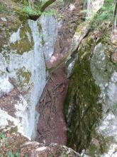 Blick über eine Felskante in eine enge, von hohen Felswänden gebildete Schlucht. Auf dem Waldpfad zwischen den Felsen liegen Äste und Zweige, weiter oben lehnt sich ein Baumstamm an der rechten Felsseite an. Das Gestein rechts ist zudem stark bemoost.