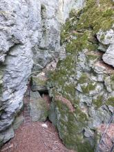 Blick von erhöhtem Standort in eine felsige Schlucht mit eng zusammenstehenden Wänden. Das Gestein ist links hellgrau, rechts grau mit starker Bemoosung. Im Schluchteingang links liegen einzelne Felsbrocken. Eine Aufstiegsleiter führt darüber.