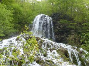 Blick auf einen hohen, kegelförmigen Wasserfall, der sich im Vordergrund bildfüllend verbreitert. Im Hintergrund rechts, neben dem Wasserfall, erhebt sich ein bewaldeter Felsenhang.