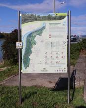 Blick auf eine farbige Informationstafel zum Naturschutzgebiet Taubergießen mit Übersichtskarte und aufgeführten Wanderwegen.