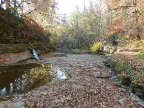 Blick auf eine breite, links und rechts von Felsböschungen und Bäumen gesäumte Klamm. Das Bett der Klamm wird von einer Gesteinsfläche gebildet, die links und zum Hintergrund hin von Wasser überspült ist. Der linke Teil der Klamm liegt im Schatten.