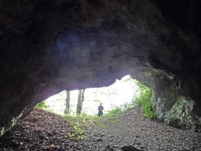 Blick vom Inneren einer Höhle zum Ein- beziehungsweise Ausgang. Der hier breite, aber niedrig wirkende Gang ist teils von Laub bedeckt. Das schwarze Gestein der Höhlenwände wölbt sich tief darüber.