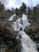 Von einer bewaldeten Felskante im oberen Bildteil stürzt sich ein Wasserfall mit schäumender Gischt über mehrere dunkelgraue, sowohl breite als auch enge Felsstufen bis zum unteren Bildrand.