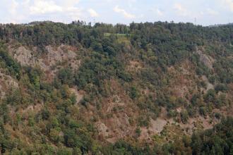 Blick aus großer Höhe auf einen nach links aufsteigenden, bewaldeten Berghang. Zwischen Bäumen und Sträuchern treten mehrere graue Felsformationen hervor. Rechts unten sind zudem Geröllhalden erkennbar.