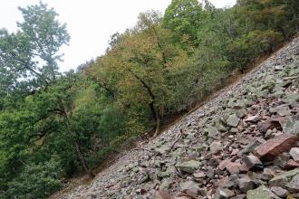 Blick aus tief angesetzter Kameraposition auf einen steil nach links abfallenden Schutthang. Die Halde ist im Hintergrund von einem Wald begrenzt.