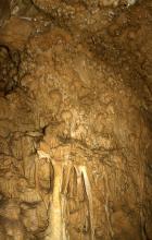 Blick auf eine in braunen Farben schimmernde, unregelmäßig geformte Höhlenwand mit Ansätzen von Tropfsteinen.