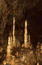 Blick in das Innere einer Höhle. Vor einer dunklen Höhlenwand sind mehrere durch Licht aufgehellte, vom Boden zur Decke wachsende Tropfsteinsäulen zu sehen.