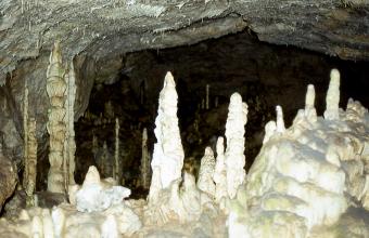 Blick in eine dunkle Höhlenkammer. Zahlreiche dünne graubraune Felsnadeln wachsen darin zur Decke. Auch im Vordergrund sind Stalagmiten zu sehen, hier allerdings von hellem Licht weißlich gefärbt.