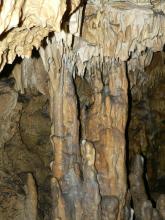 Blick auf von künstlichem Licht erhellte Stalaktiten und Stalagmiten sowie Tropfsteinsäulen vor einer dunkleren Höhlenwand.