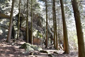 Zu sehen sind hier zahlreiche größere Felsblöcke, die - von rechts nach links immer höher ansteigend - aufgeschichtet sind. Die Felsformation steht in einem Wald mit hohen Bäumen.